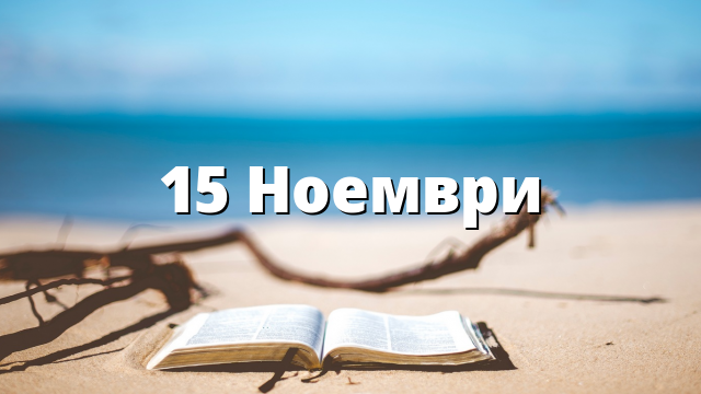 15 Ноември