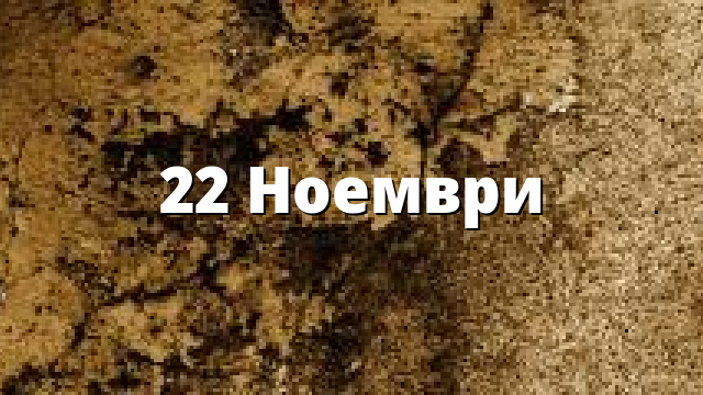 22 Ноември