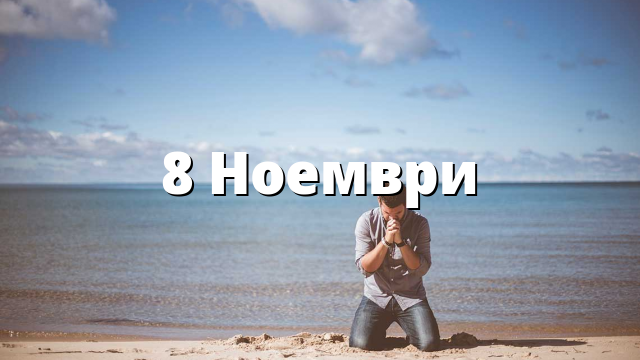 8 Ноември