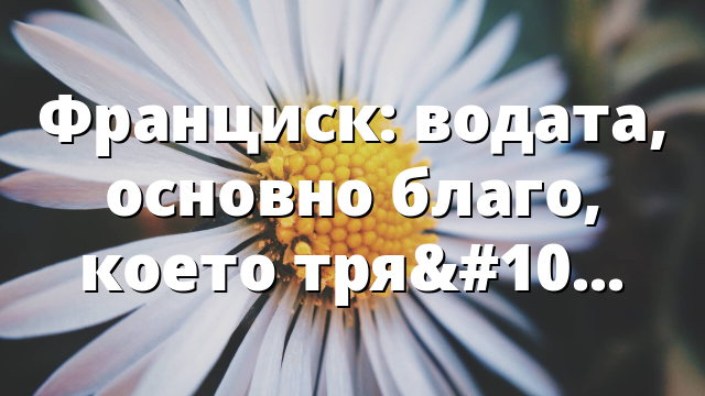 Франциск: водата, основно благо, което трябва да пазим