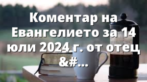 Коментар на Евангелието за 14 юли 2024 г. от отец Йоан Хаджиев