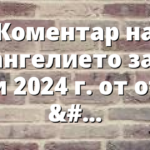 Коментар на Евангелието за 28 юли 2024 г. от отец Йоан Хаджиев