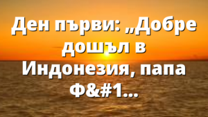 Ден първи: „Добре дошъл в Индонезия, папа Франциск!“