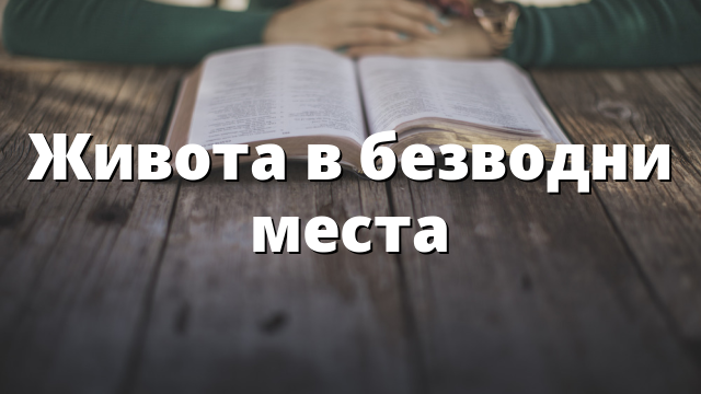 Живота в безводни места