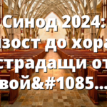 Синод 2024: близост до хората, страдащи от войната