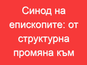 Синод на епископите: от структурна промяна към духовно обновление