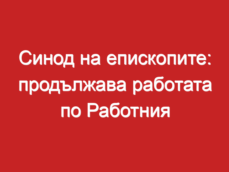 Синод на епископите: продължава работата по Работния документ