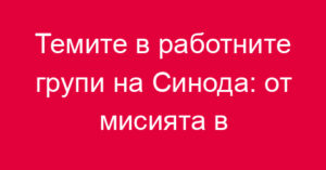 Темите в работните групи на Синода: от мисията в дигиталния свят до полигамията